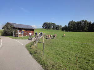 Biber Iller Adventure Tour